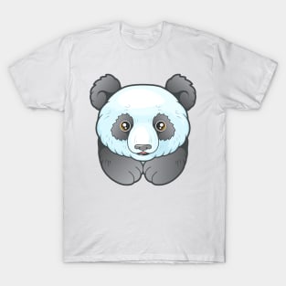 little cute panda T-Shirt